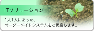ITソリューション